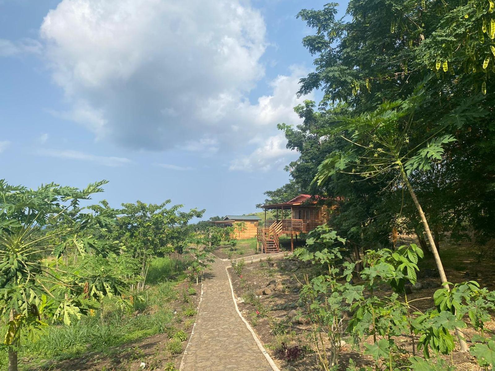Monte Mar Saotome Villa Morro Peixe ภายนอก รูปภาพ